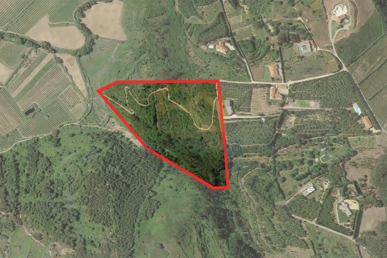 Terreno para Venda em Santo Isidoro Foto 12