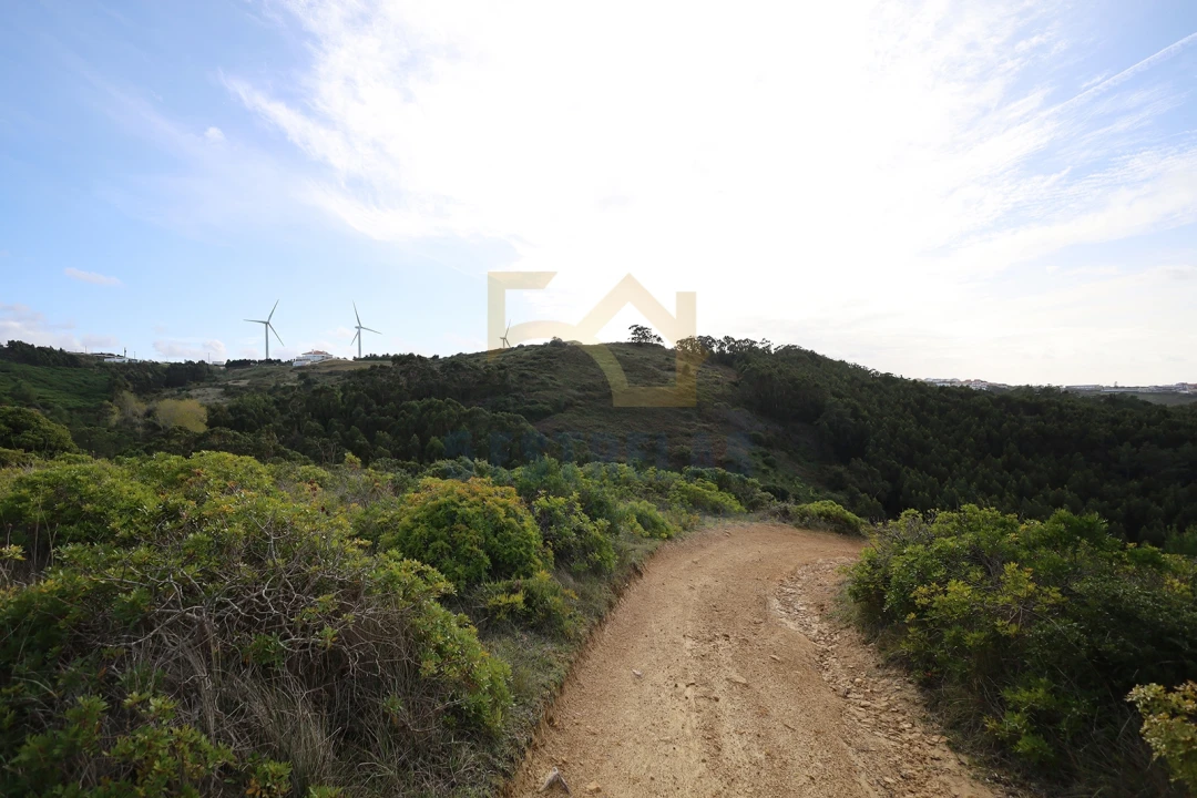 Terreno para Venda em Santo Isidoro Foto 4