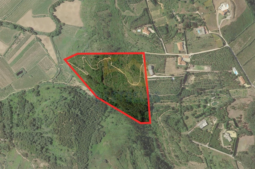 Terreno para Venda em Santo Isidoro Foto 12