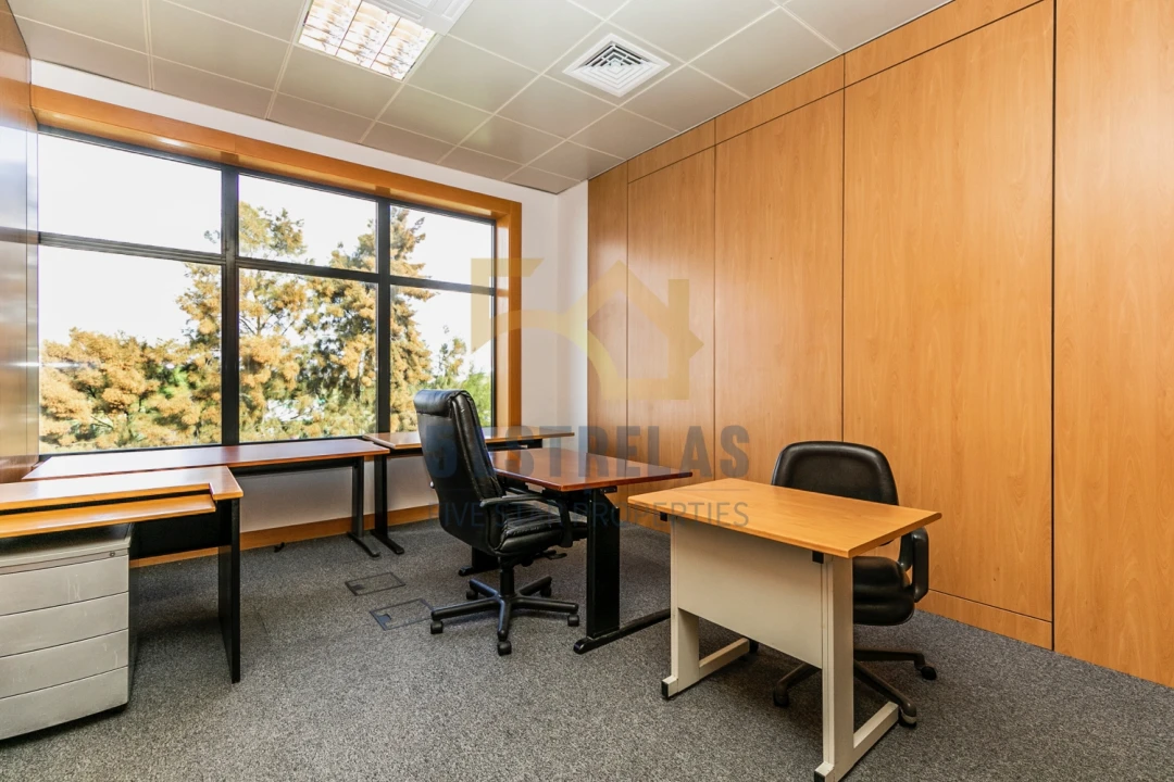 Escritório para Venda em Santa Maria e São Miguel, São Martinho, São Pedro Penaferrim Foto 11