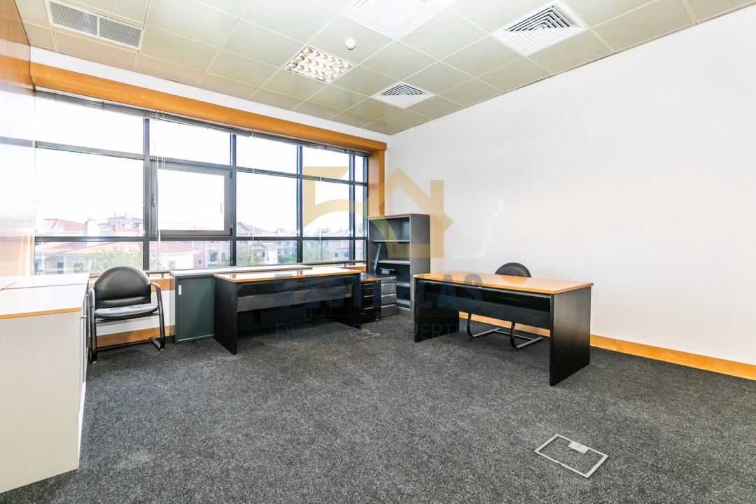 Escritório para Venda em Santa Maria e São Miguel, São Martinho, São Pedro Penaferrim Foto 22