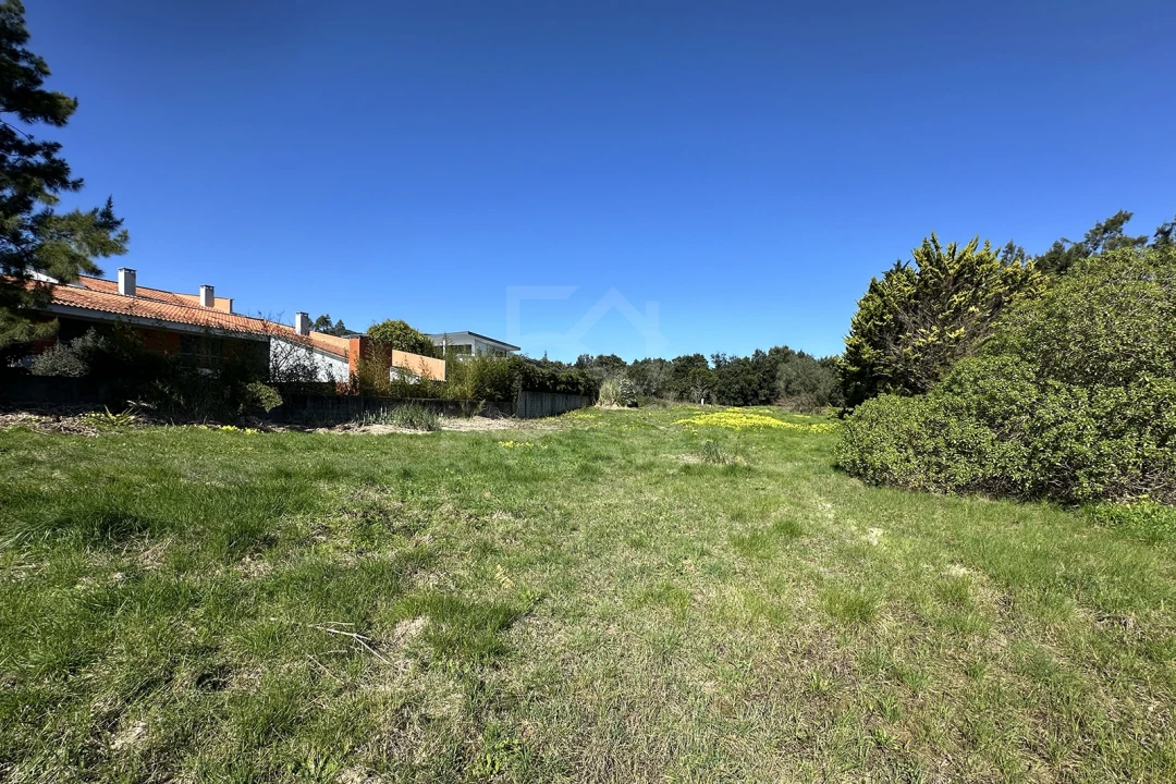 Terreno para Venda em Santa Maria e São Miguel, São Martinho, São Pedro Penaferrim Foto 14