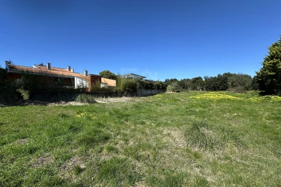 Terreno para Venda em Santa Maria e São Miguel, São Martinho, São Pedro Penaferrim