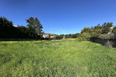 Terreno para Venda em Santa Maria e São Miguel, São Martinho, São Pedro Penaferrim