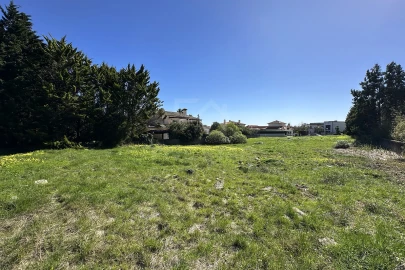 Terreno para Venda em Santa Maria e São Miguel, São Martinho, São Pedro Penaferrim