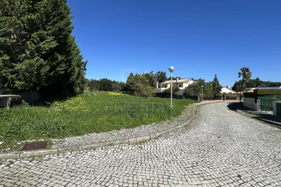 Terreno para Venda em Santa Maria e São Miguel, São Martinho, São Pedro Penaferrim