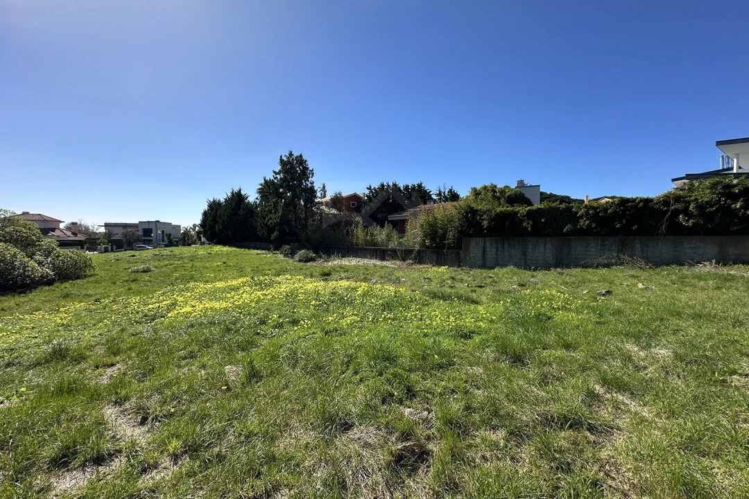 Terreno para Venda em Santa Maria e São Miguel, São Martinho, São Pedro Penaferrim Foto 18