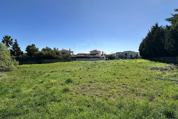 Terreno para Venda em Santa Maria e São Miguel, São Martinho, São Pedro Penaferrim Foto 15