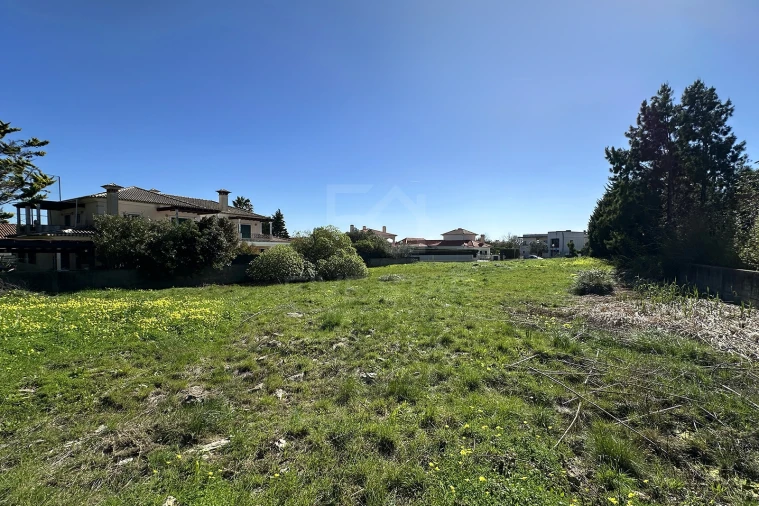 Terreno para Venda em Santa Maria e São Miguel, São Martinho, São Pedro Penaferrim Foto 20
