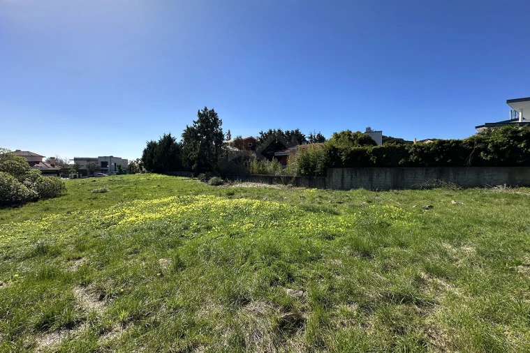 Terreno para Venda em Santa Maria e São Miguel, São Martinho, São Pedro Penaferrim Foto 18