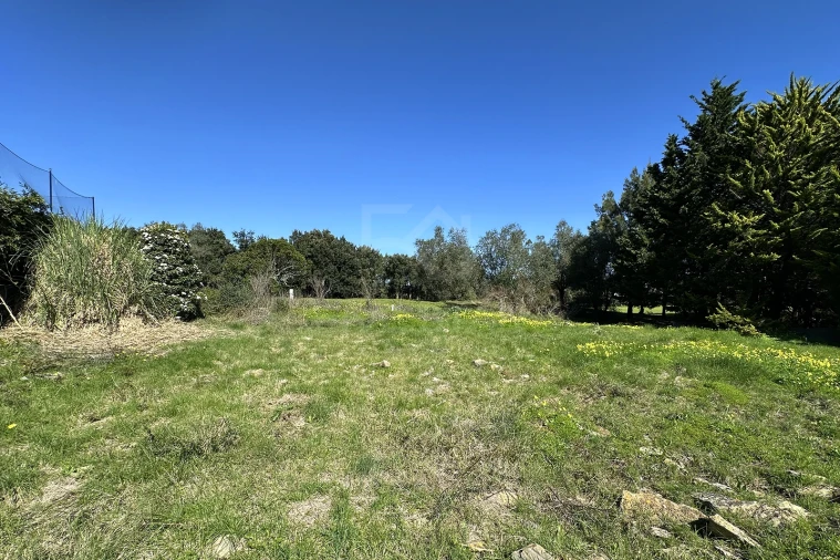 Terreno para Venda em Santa Maria e São Miguel, São Martinho, São Pedro Penaferrim Foto 21