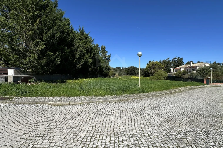 Terreno para Venda em Santa Maria e São Miguel, São Martinho, São Pedro Penaferrim Foto 11