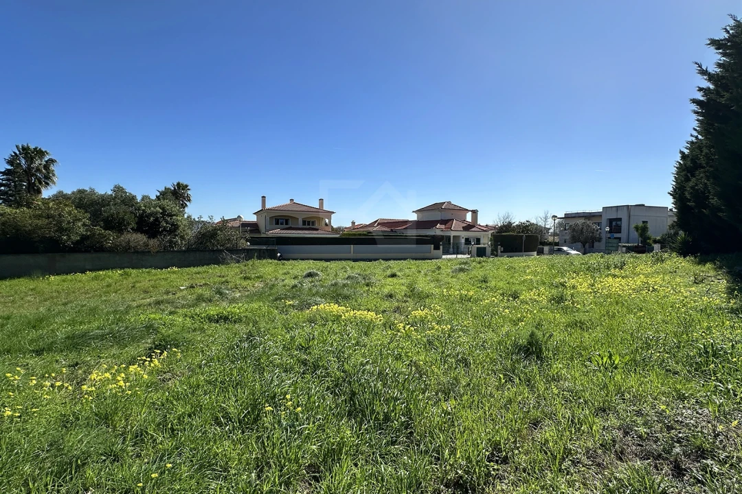 Terreno para Venda em Santa Maria e São Miguel, São Martinho, São Pedro Penaferrim Foto 13
