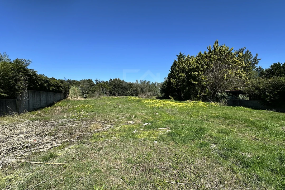 Terreno para Venda em Santa Maria e São Miguel, São Martinho, São Pedro Penaferrim Foto 19