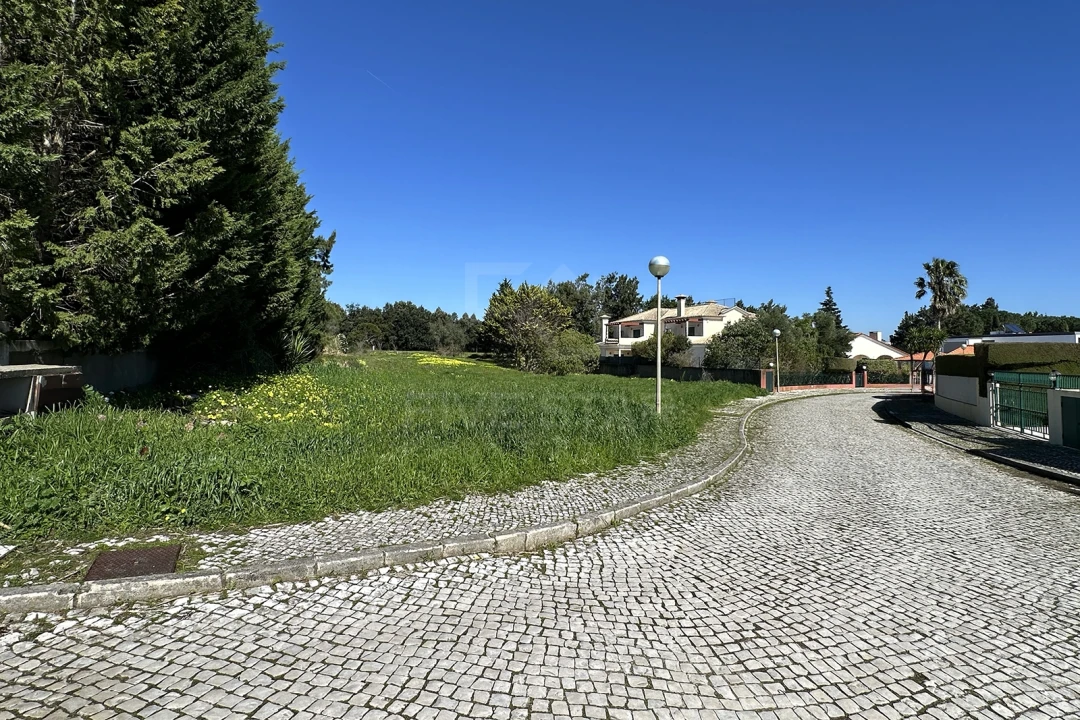 Terreno para Venda em Santa Maria e São Miguel, São Martinho, São Pedro Penaferrim Foto 10
