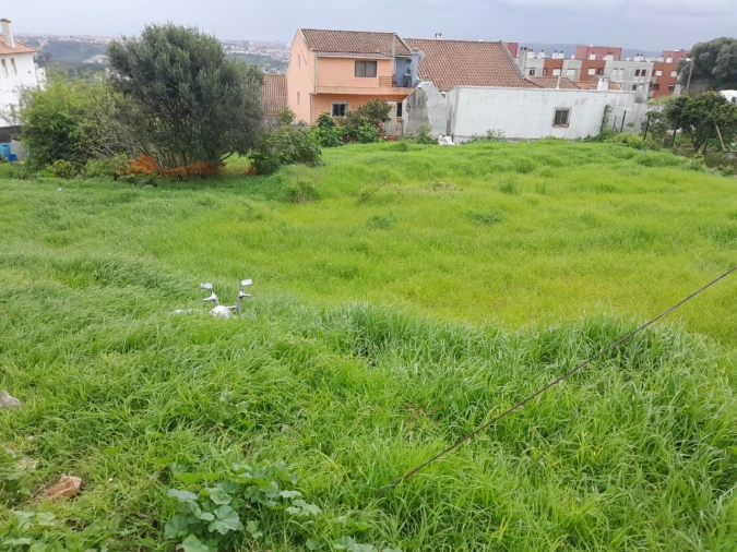 Terreno para Venda em Águas Livres Foto 4