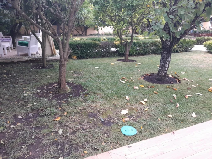 Quinta T3 para Venda em São João das Lampas e Terrugem Foto 10