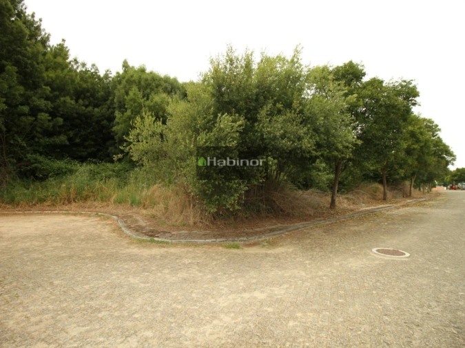 Terreno para Venda em Venade e Azevedo Foto 4