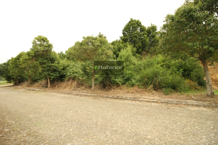 Terreno para Venda em Venade e Azevedo Foto 7