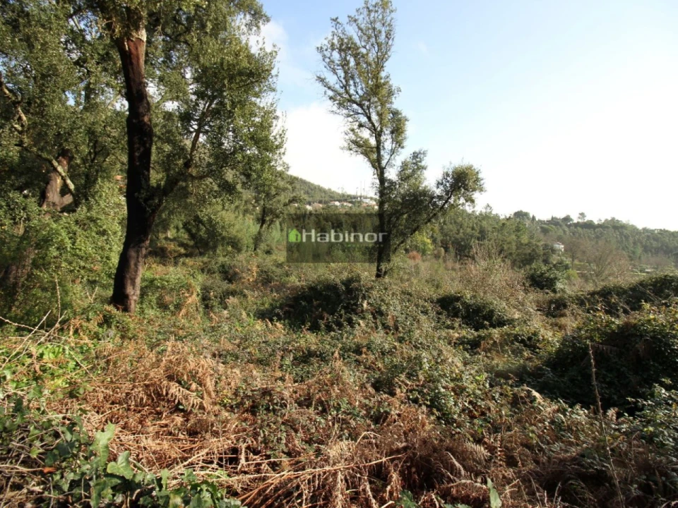 Terreno para Venda em Barroselas e Carvoeiro Foto 3