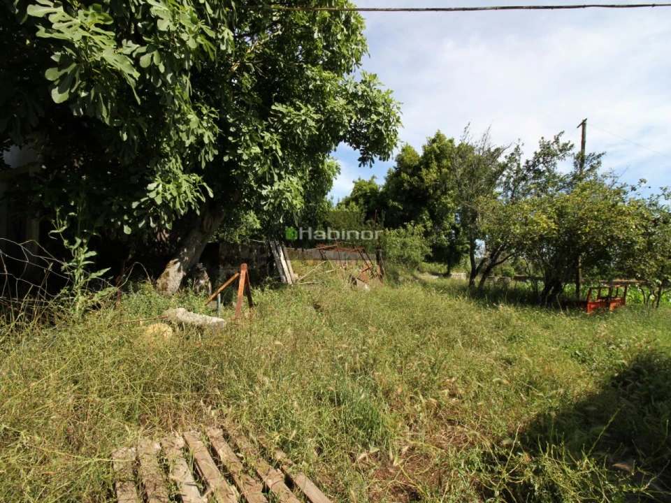 Quinta T7 para Venda em Santa Maria Maior e Monserrate e Meadela Foto 13