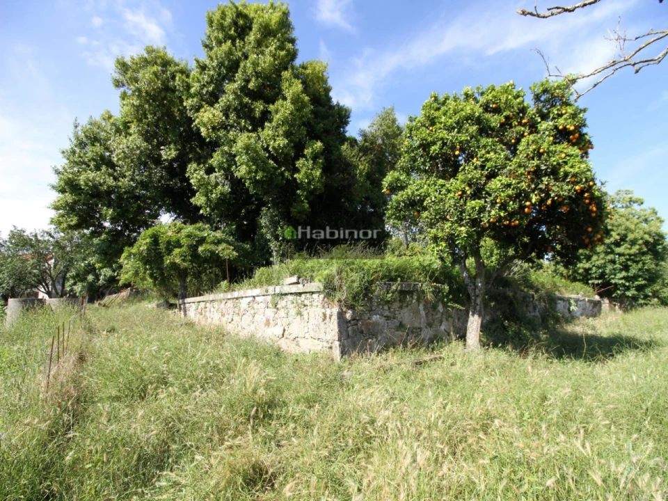 Quinta T7 para Venda em Santa Maria Maior e Monserrate e Meadela Foto 18