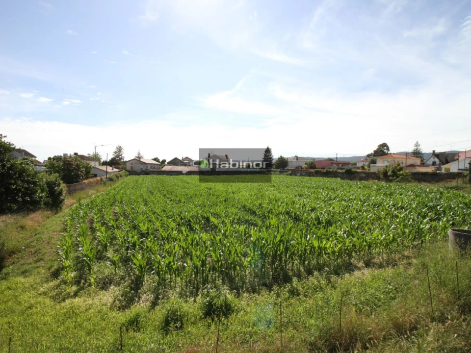 Quinta T7 para Venda em Santa Maria Maior e Monserrate e Meadela Foto 19