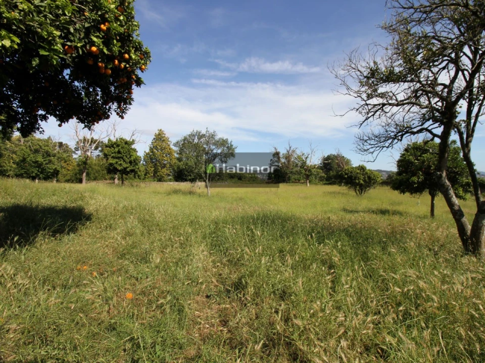 Quinta T7 para Venda em Santa Maria Maior e Monserrate e Meadela Foto 20