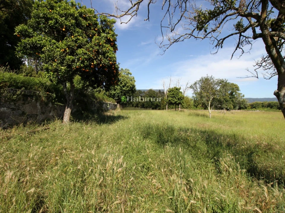 Quinta T7 para Venda em Santa Maria Maior e Monserrate e Meadela Foto 21