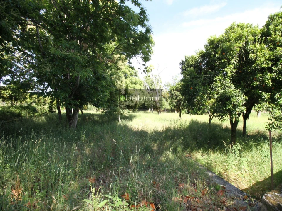 Quinta T7 para Venda em Santa Maria Maior e Monserrate e Meadela Foto 22