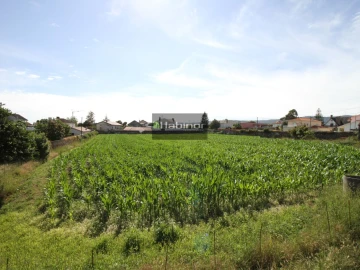 Quinta T7 para Venda em Santa Maria Maior e Monserrate e Meadela