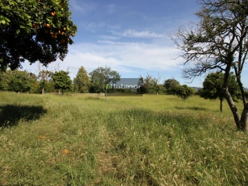 Quinta T7 para Venda em Santa Maria Maior e Monserrate e Meadela