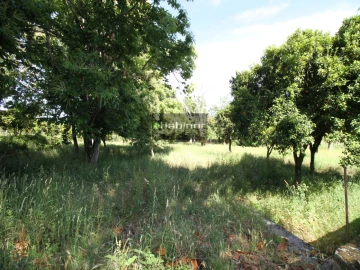 Quinta T7 para Venda em Santa Maria Maior e Monserrate e Meadela
