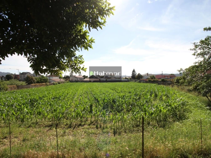 Quinta T7 para Venda em Santa Maria Maior e Monserrate e Meadela Foto 16