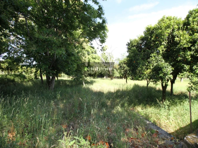 Quinta T7 para Venda em Santa Maria Maior e Monserrate e Meadela Foto 22