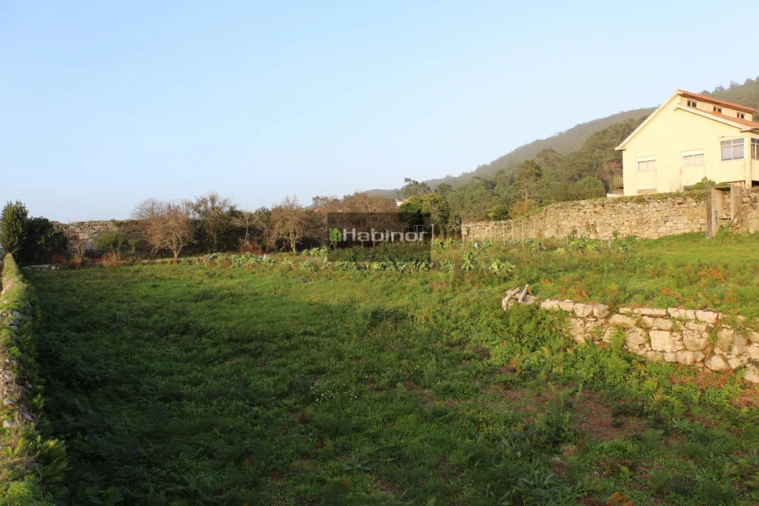 Moradia T4 para Venda em Carreço Foto 3