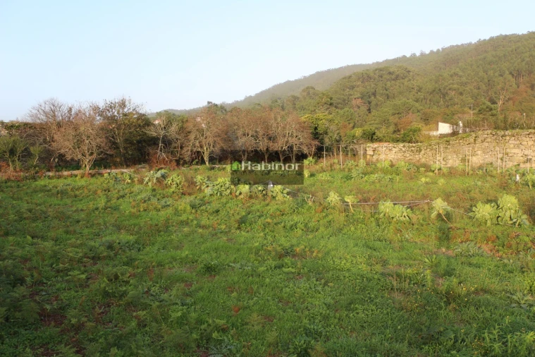 Moradia T4 para Venda em Carreço Foto 8