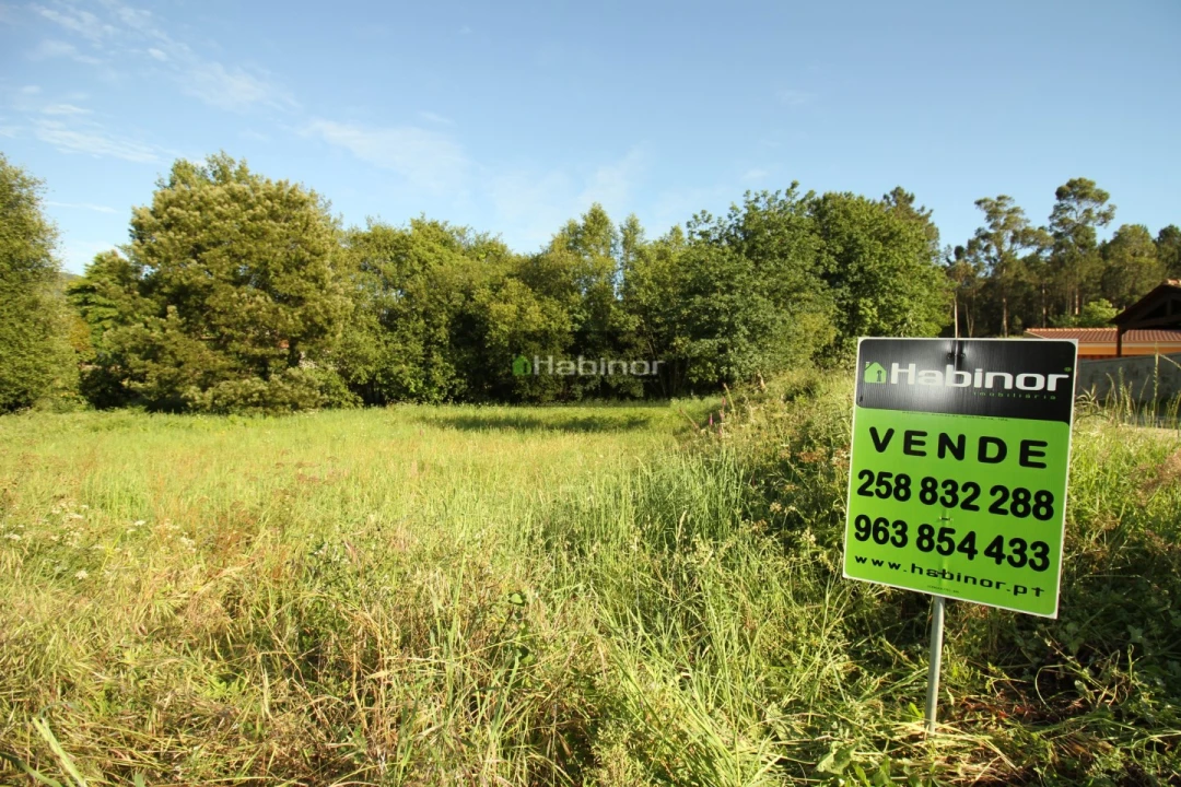 Terreno Agricola ou Rústico para Venda em Subportela, Deocriste e Portela Susã Foto 1