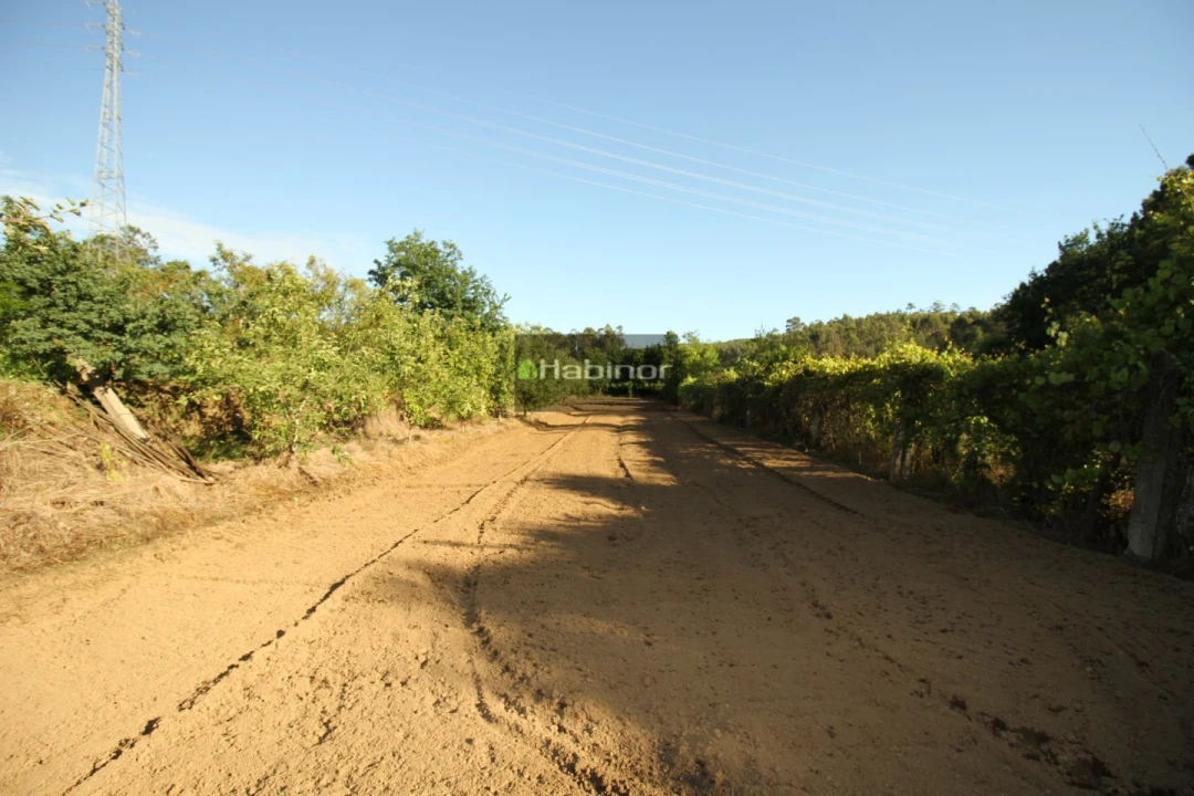 Terreno Agricola ou Rústico para Venda em Subportela, Deocriste e Portela Susã Foto 2