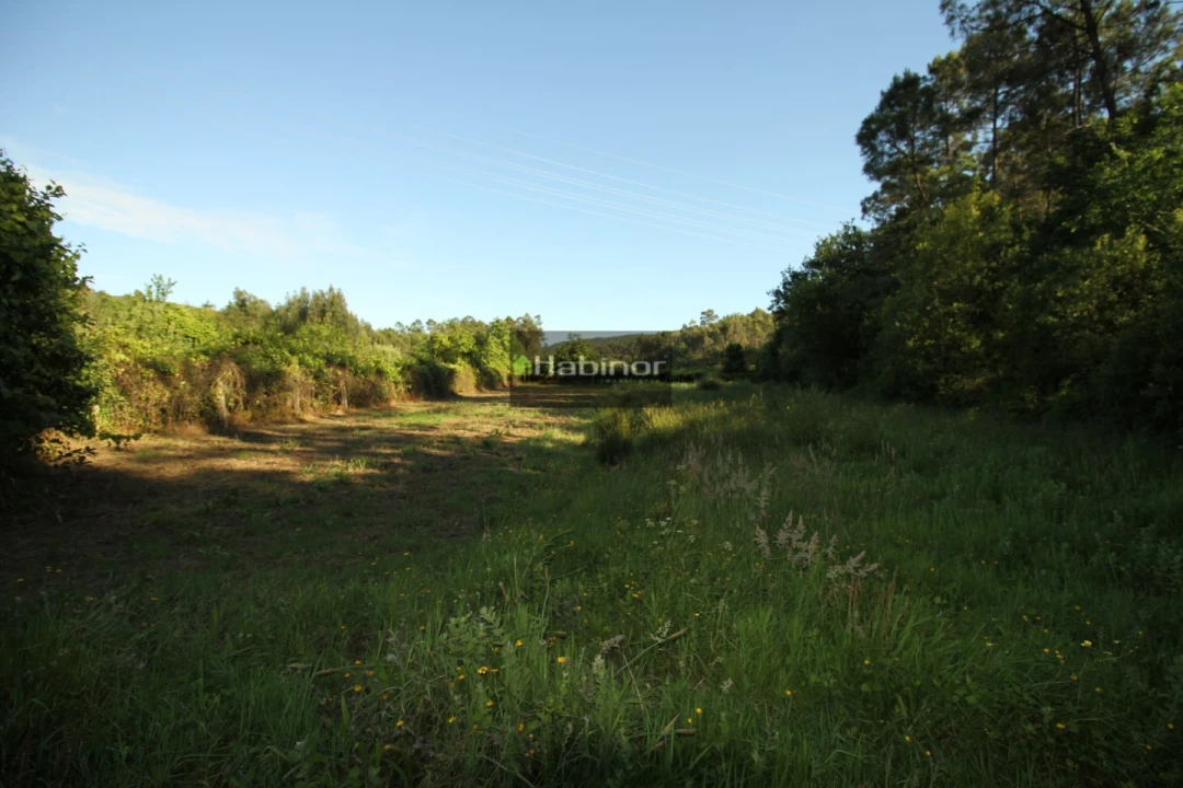 Terreno Agricola ou Rústico para Venda em Subportela, Deocriste e Portela Susã Foto 3