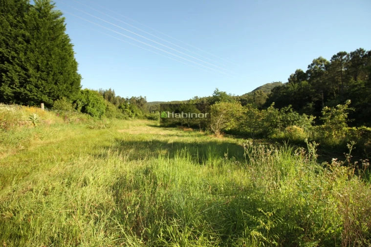 Terreno Agricola ou Rústico para Venda em Subportela, Deocriste e Portela Susã Foto 4