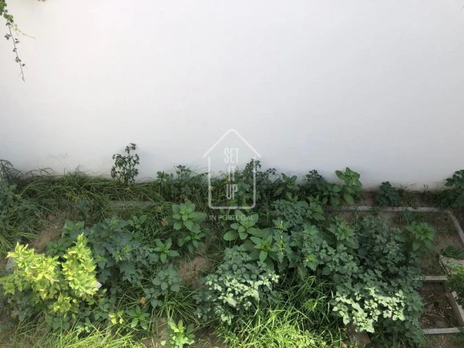 Moradia T4 para Venda em Aldoar, Foz do Douro e Nevogilde Foto 19