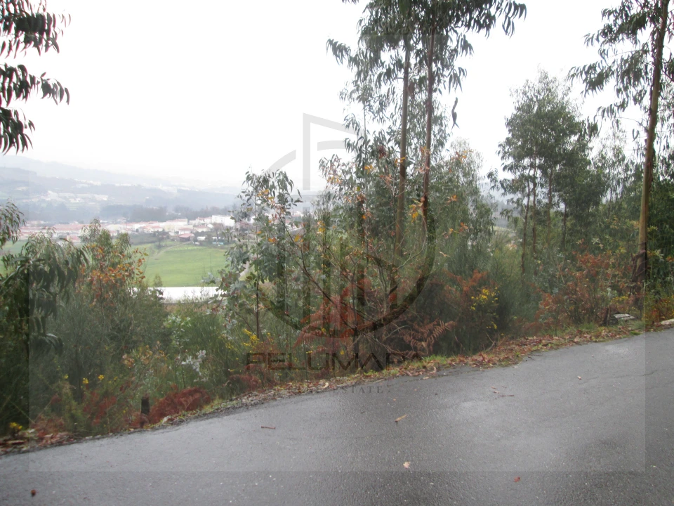 Terreno Agricola ou Rústico para Venda em Airão Santa Maria, Airão São João e Vermil Foto 8
