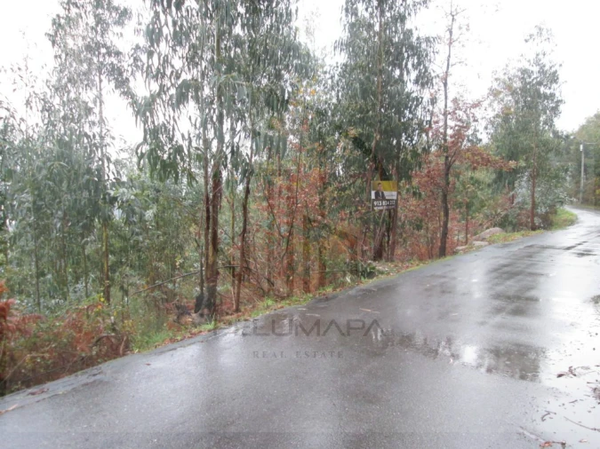Terreno Agricola ou Rústico para Venda em Airão Santa Maria, Airão São João e Vermil Foto 4