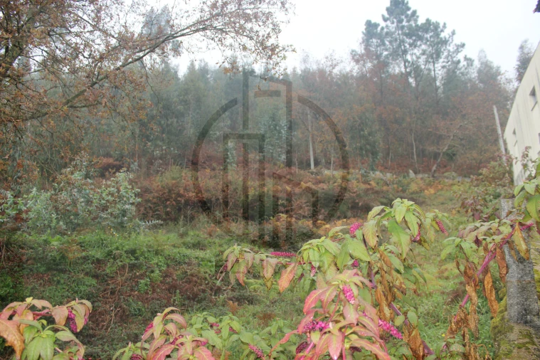 Terreno Agricola ou Rústico para Venda em Airão Santa Maria, Airão São João e Vermil Foto 7