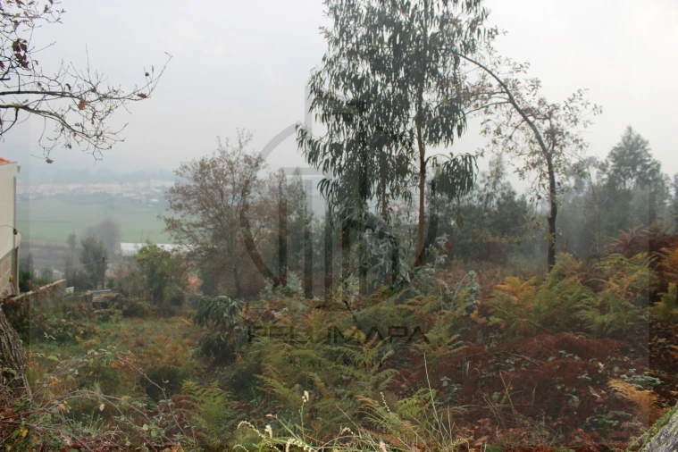 Terreno Agricola ou Rústico para Venda em Airão Santa Maria, Airão São João e Vermil Foto 5