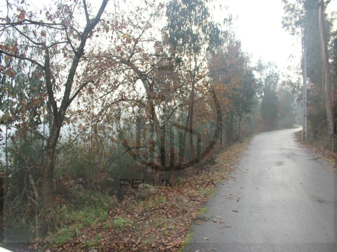 Terreno Agricola ou Rústico para Venda em Airão Santa Maria, Airão São João e Vermil Foto 6