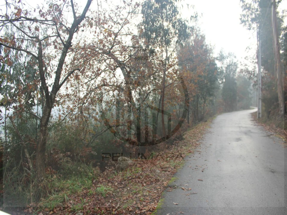 Terreno Agricola ou Rústico para Venda em Airão Santa Maria, Airão São João e Vermil Foto 6