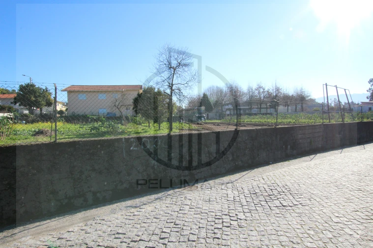 Terreno para Venda em Areias, Sequeirô, Lama e Palmeira Foto 5