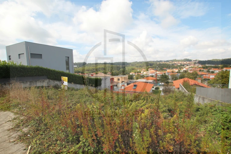 Terreno para Venda em Monte Córdova Foto 8